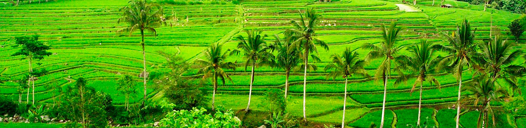 Viajes a Indonesia: Bali